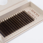 Mocha brown - Mixed trays