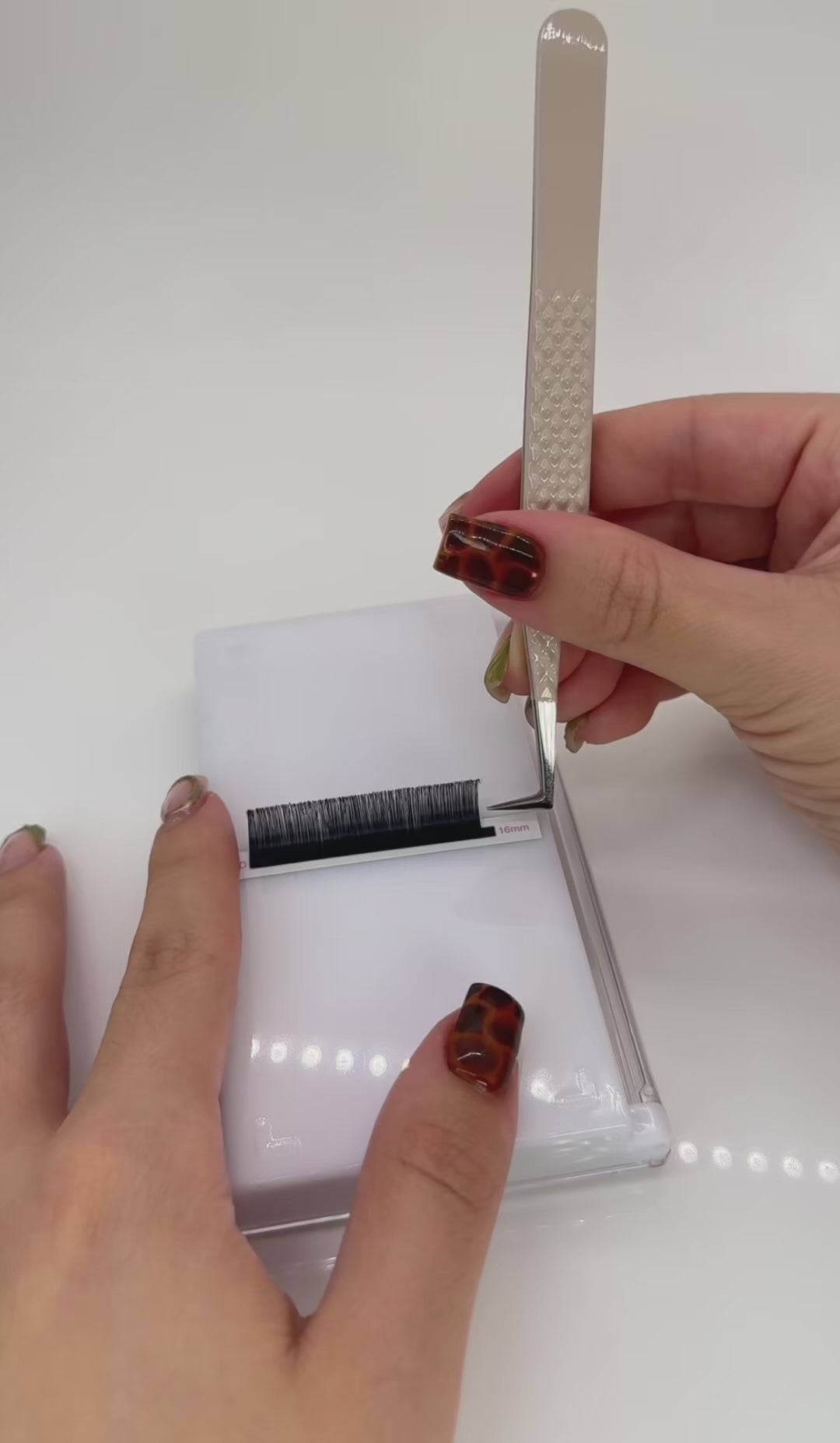 Cashmere Mixed trays